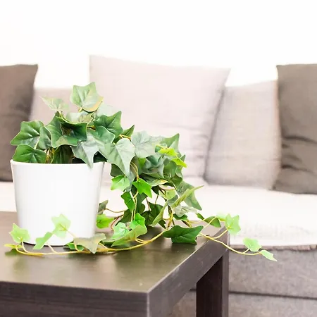 Comfy 23 Апартаменты Салоники