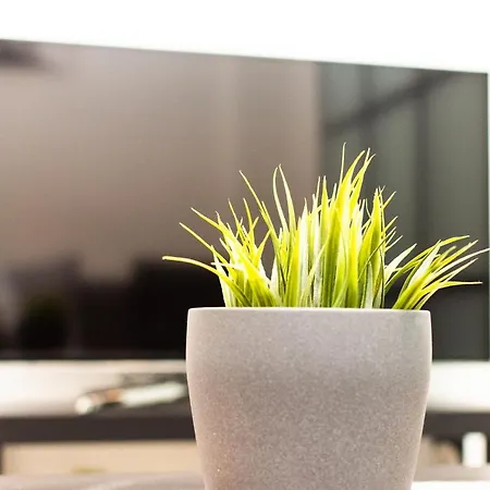 Apartamento Comfy 23